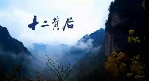 救援快乐的兔子