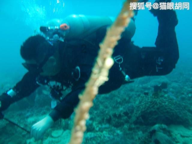因“他对我很好”而结婚的妹子，都过得怎样了？游戏画面